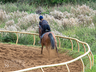 EL210922-18 - Emma Lavelle Stable Visit